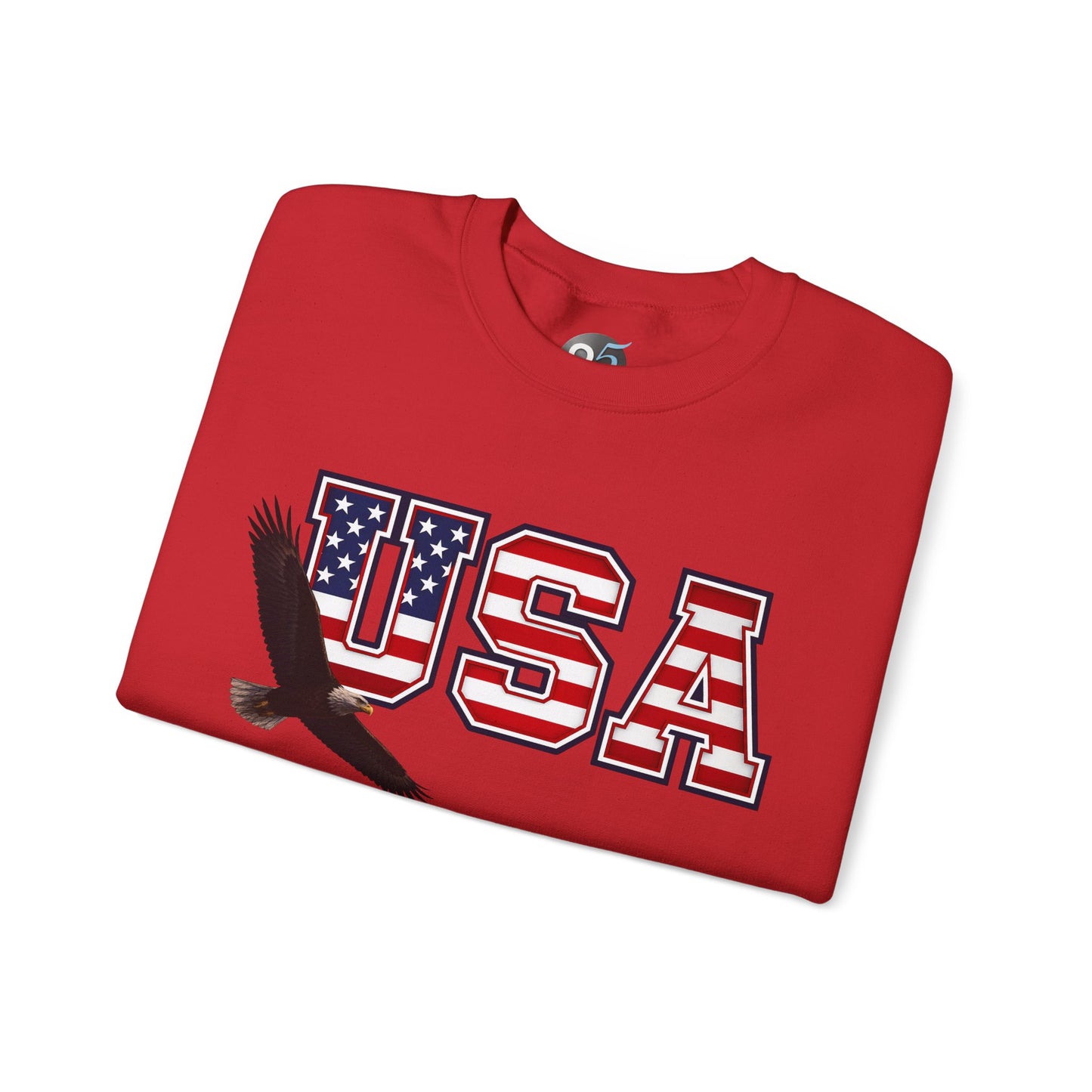 American Eagle Sweatshirt